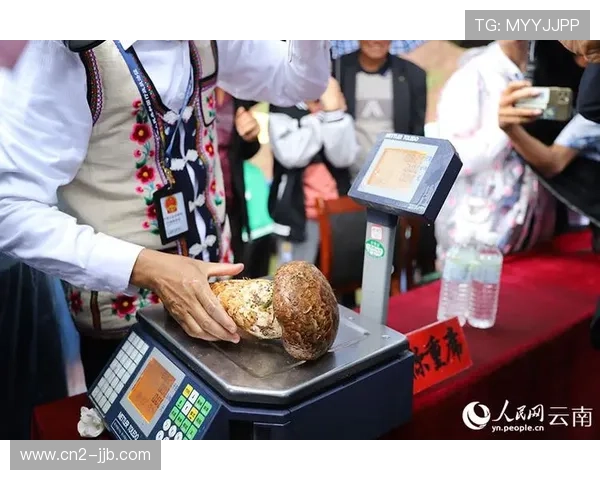 南华“松茸杯”定向赛开启体旅融合新篇章，千人共赴菌乡之约